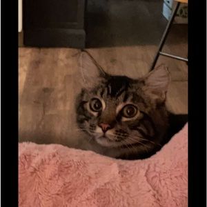 Meet your Posher, Helen